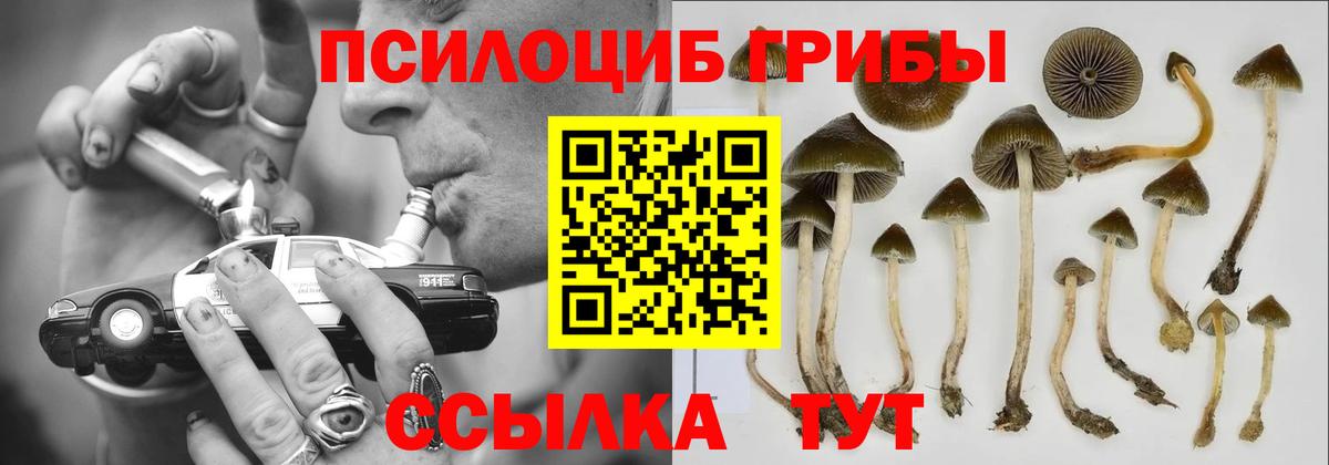 Галлюциногенные грибы мицелий  Вход с VPN  Амурск 